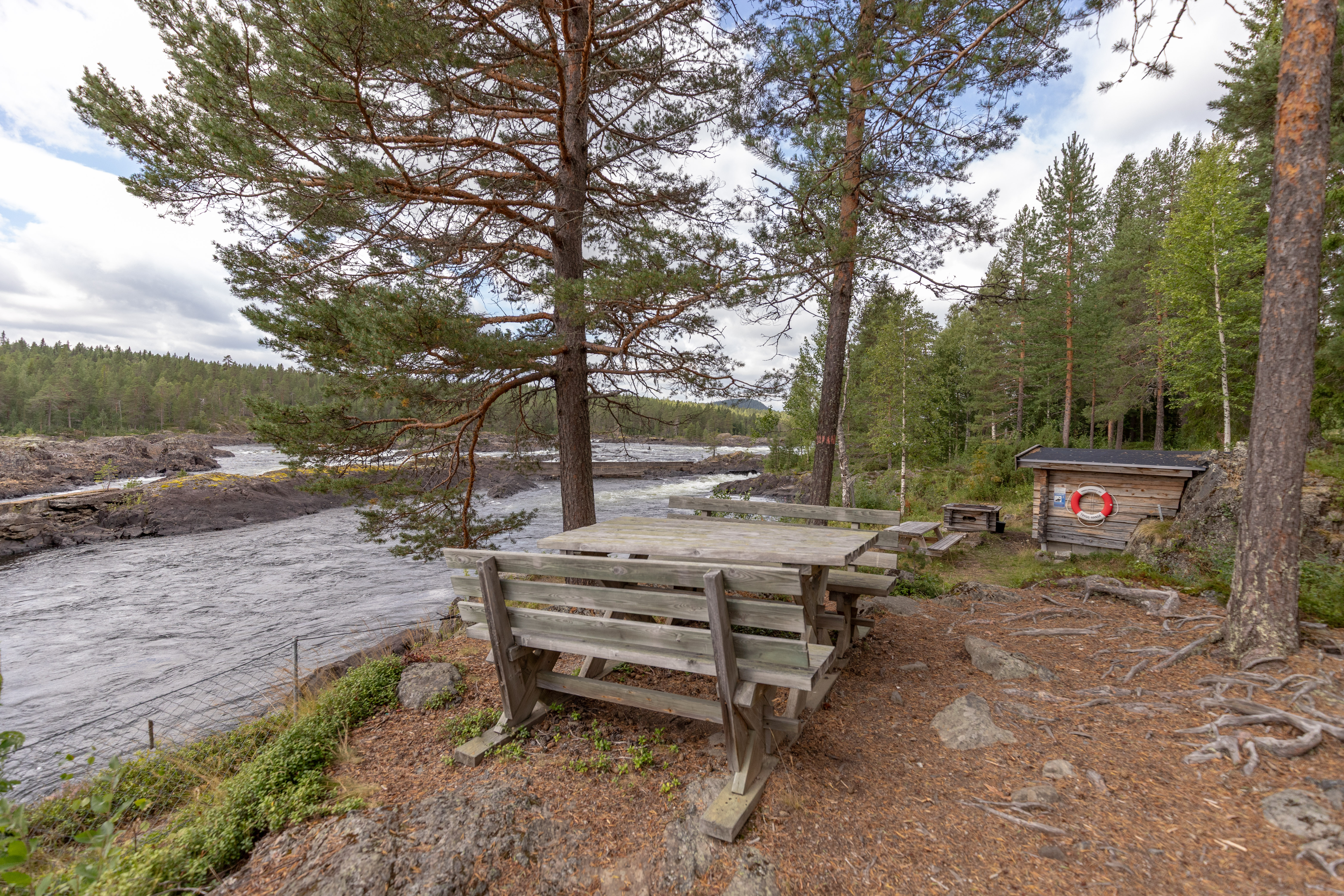 Bilder till bildgalleri